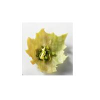 3452106b-7b3d-47d4-8edf-20d502856a86