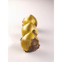 34d271e8-6cf2-4c32-b852-94f8697108e2